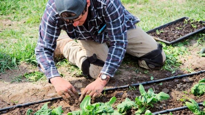 Assist Steve Acheson Veteran/Farmer campaign photo, 1 of 3