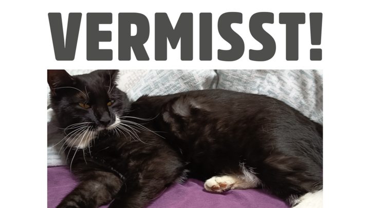 Theo hat es leider nicht geschafft campaign photo, 1 of 5