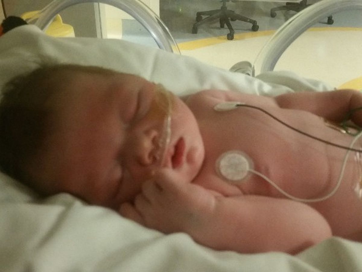 Smarthistory – Portraits of John and Elizabeth Freake (and their baby), image size:1200x900