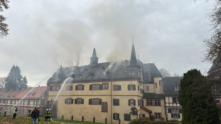 Hilfe für Schloss Plausdorf , Help for Plausdorf campaign photo, 1 of 8
