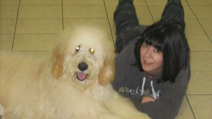 Fundraiser by Elizabeth Turpin : Support Renee's Recovery from Dog Attack