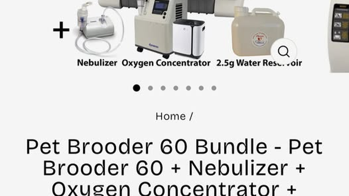 Help Kit Save More Kitties with an Incubator campaign photo, 1 of 3