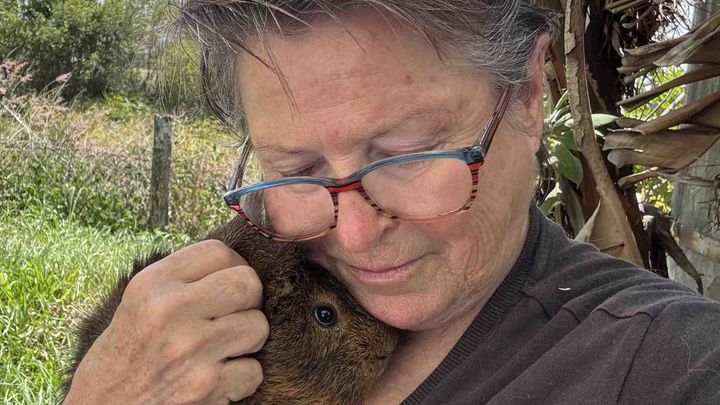 Help Us Improve Life for 180 Rescued Guinea Pigs campaign photo, 1 of 8