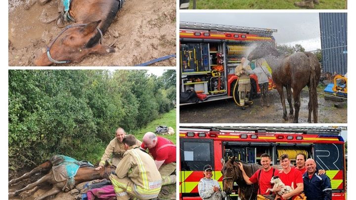 Main fundraiser photo