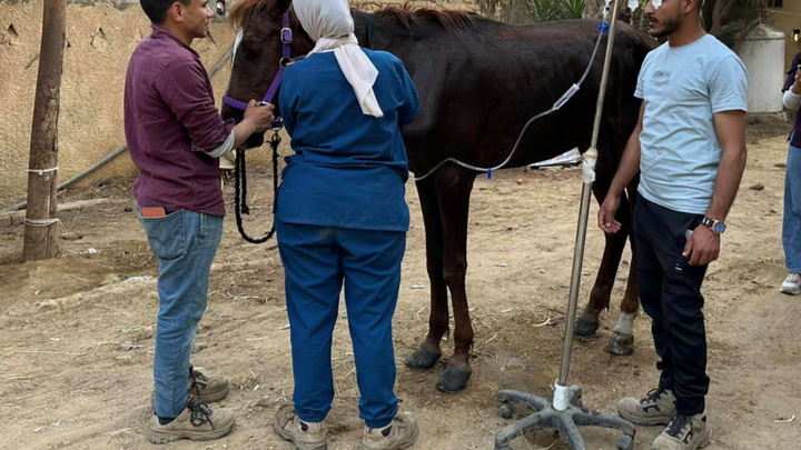 Hoofdafbeelding inzamelingsactie
