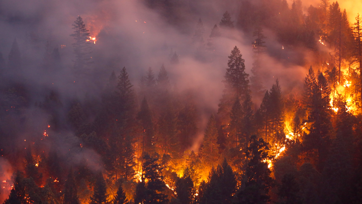 Help families affected by US wildfires campaign photo, 1 of 6