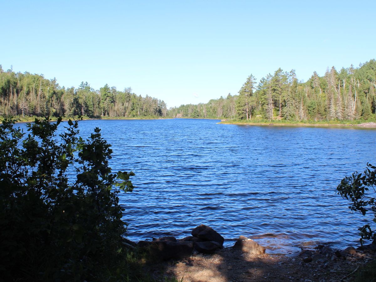 Fundraiser’s main image