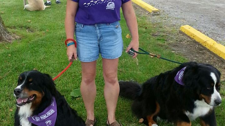 Main fundraiser photo