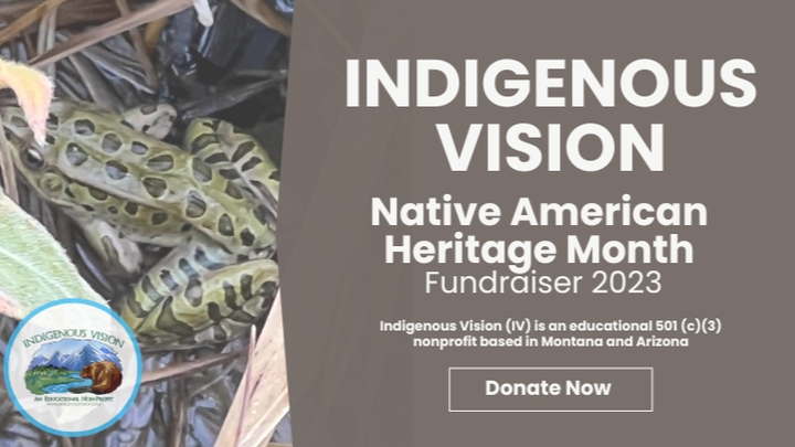 Fundraiser by Souta Calling Last : Support Indigenous Cultural ...