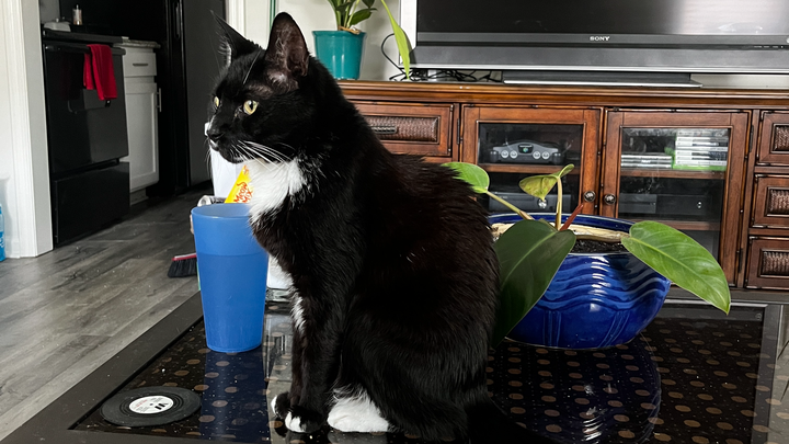 Urgent: First Rent Payment Needed campaign photo, 1 of 4