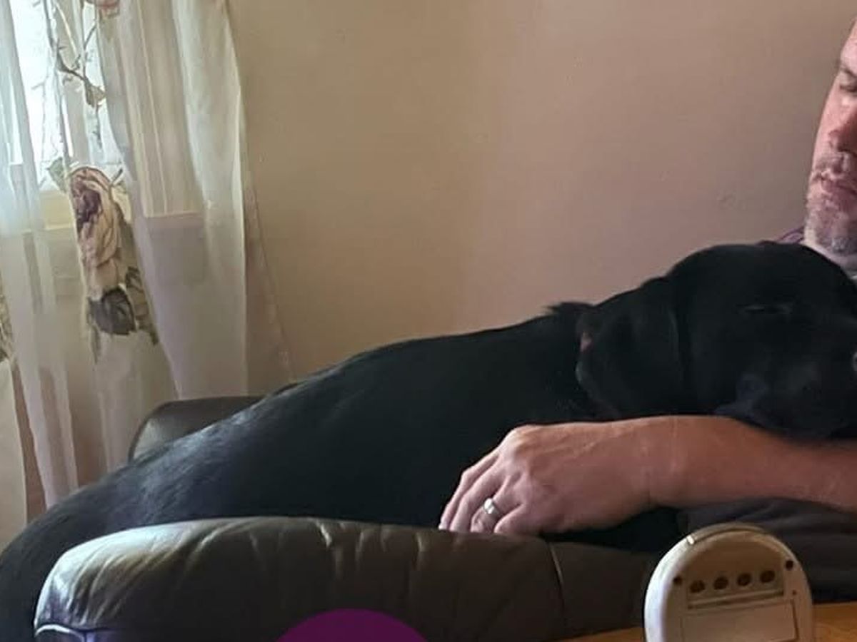 Michael Jordan | Shattered, image size:1200x900