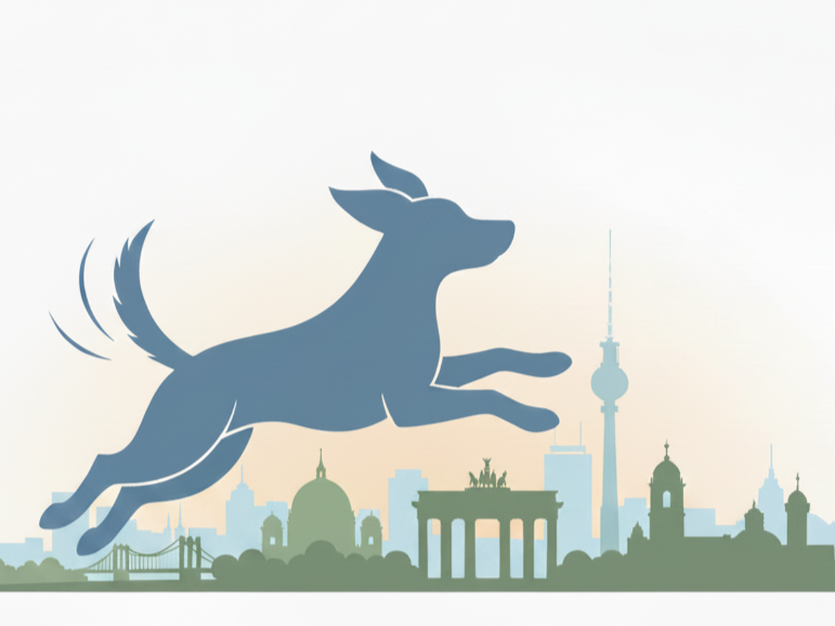 Fundraiser’s main image