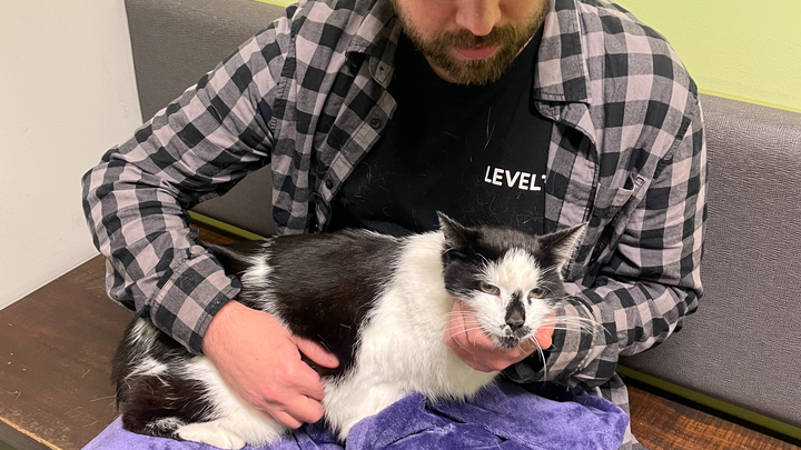 Support Matty After Losing His Beloved Cat Tony campaign photo, 1 of 2
