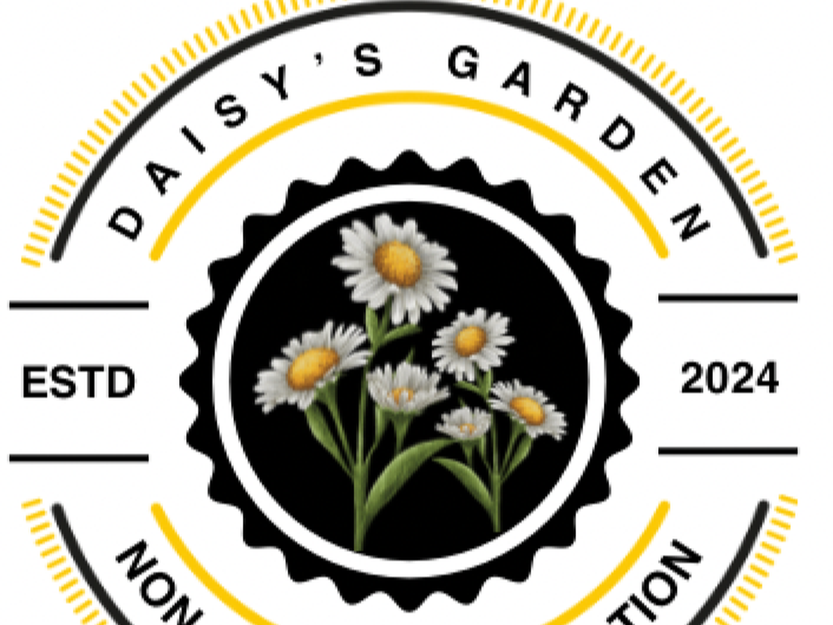 Fundraiser’s main image