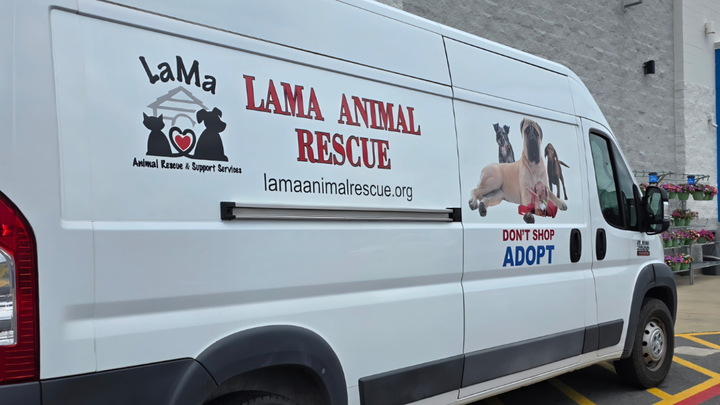 Help LaMa Animal Rescue with VITAL Van Repairs campaign photo, 1 of 4
