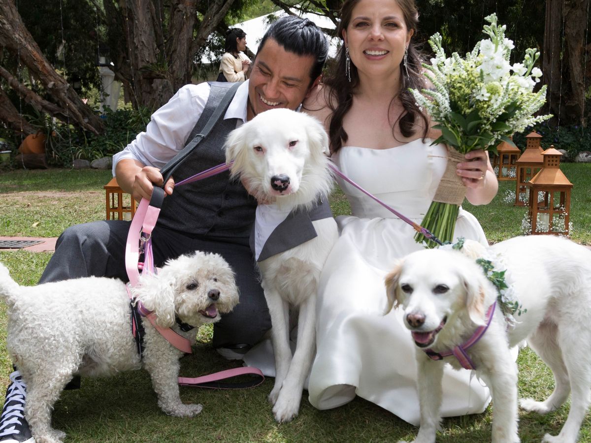 Fundraiser’s main image