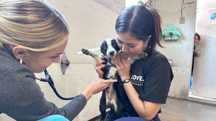 Main fundraiser photo