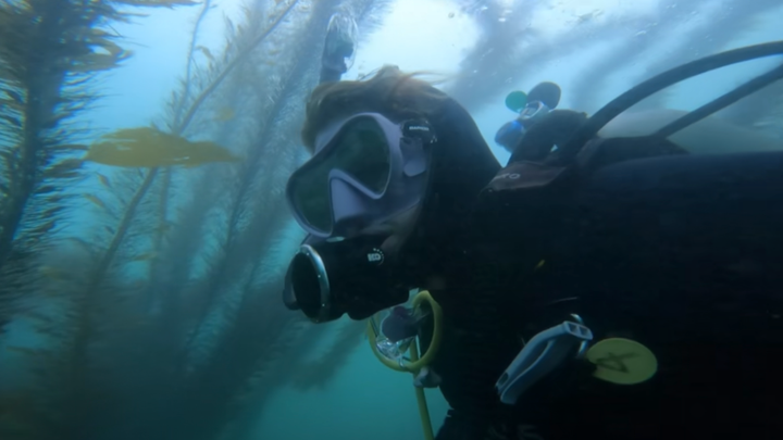 Help Ellie Study Marine Biology in Australia campaign photo, 1 of 5