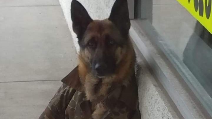 Main fundraiser photo