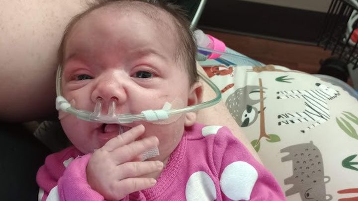 Fundraiser by Irish Amber Englehart : Paislee Rose