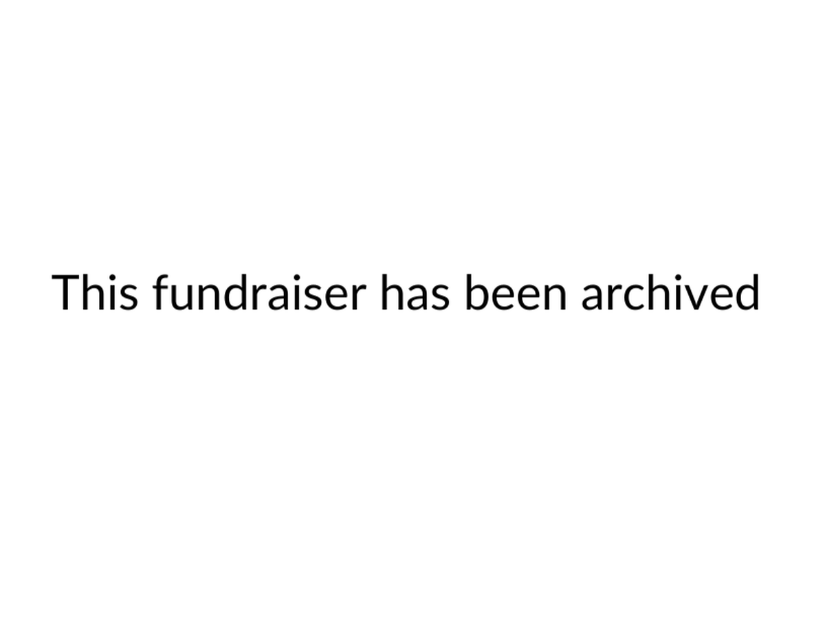 Fundraiser’s main image