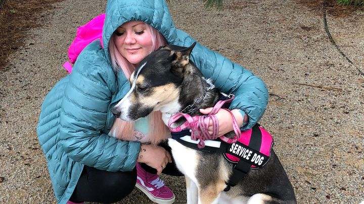 Help Beloved Service Dog Get Urgent Surgery and Cardiac Care campaign photo, 1 of 8
