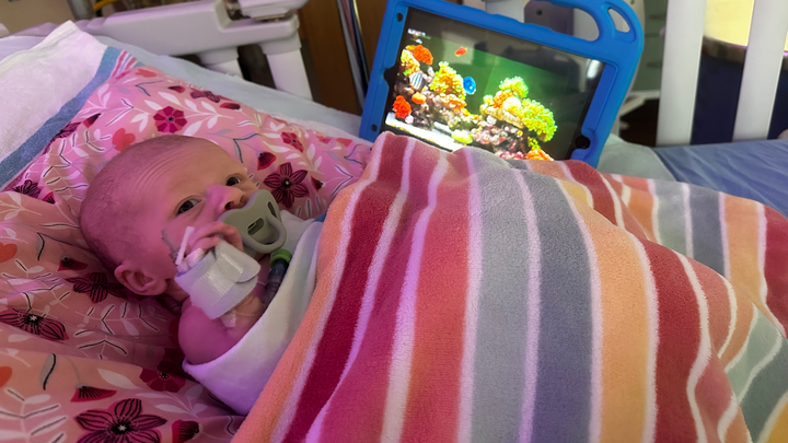 Donate for Margot Elizabeth's Heart Recovery campaign photo, 1 of 8