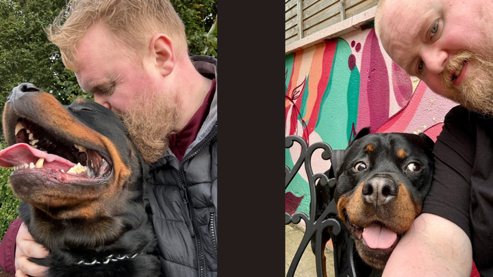 Help Layman and Rolo Find a Safe Home campaign photo, 1 of 4