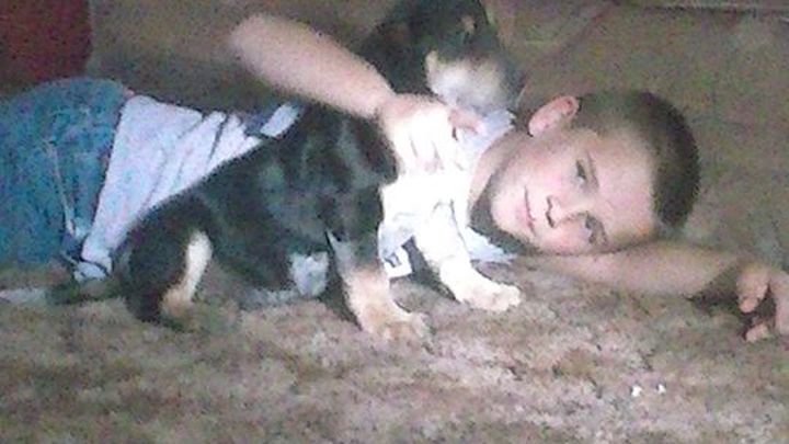 Main fundraiser photo