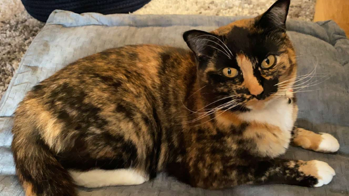 Please help with Smee’s ER care campaign photo, 1 of 2