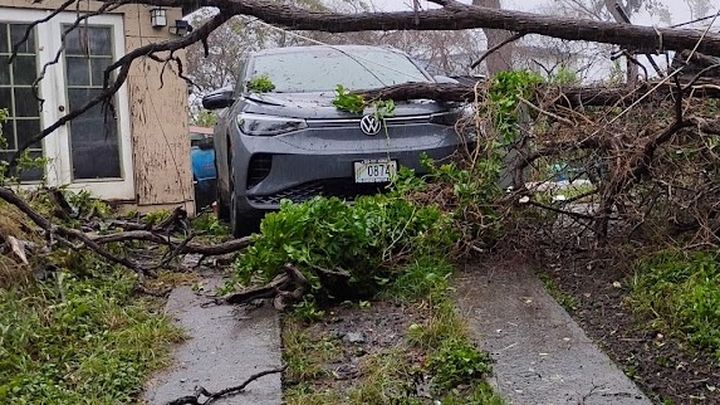 Help Amelia Recoup Loss due to Hurricane Lala campaign photo, 1 of 7
