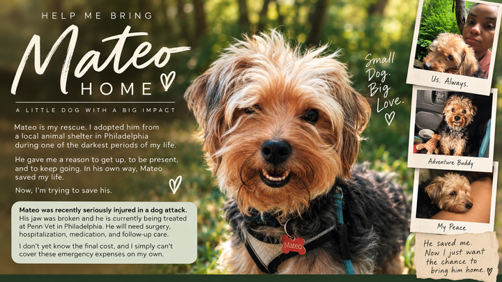 Help Bring Mateo Home after a serious dog attack