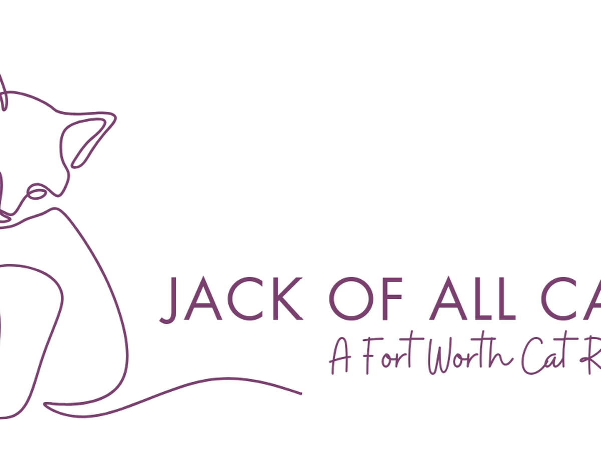 Fundraiser’s main image
