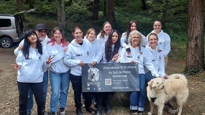SOS chiens au sud de l'Italie campaign photo, 1 of 3
