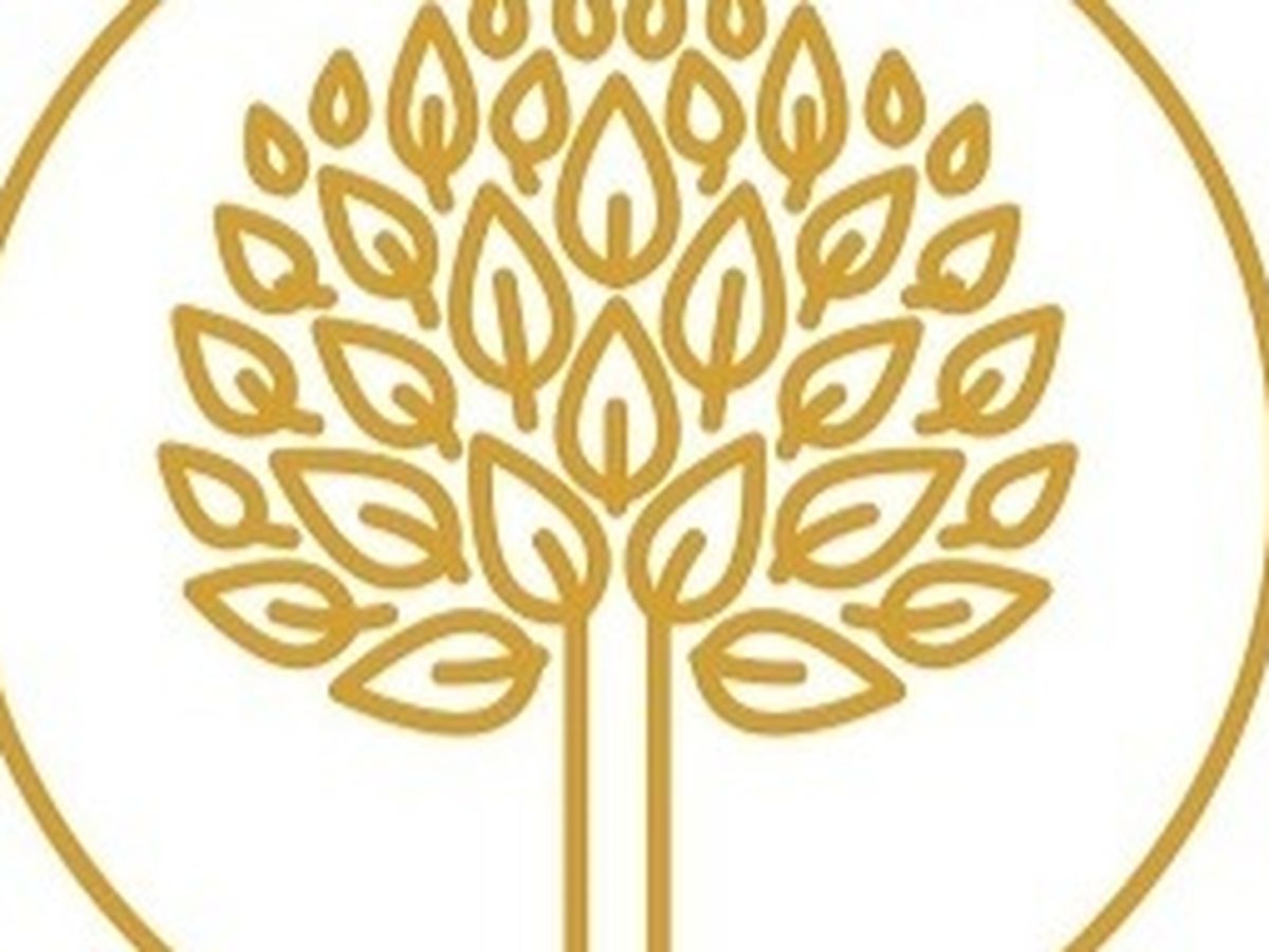 Fundraiser’s main image