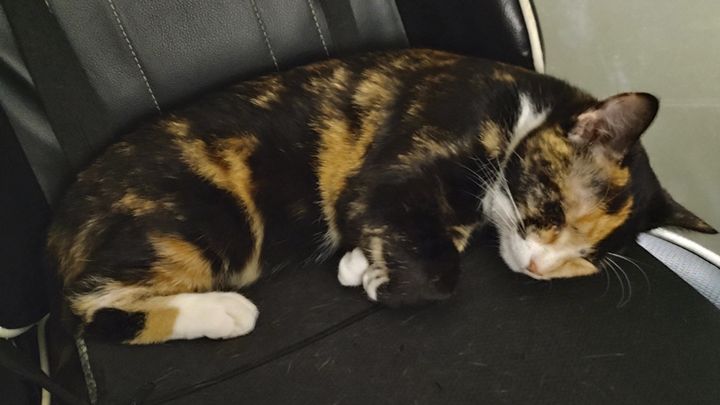 Cover costs for Ivy's Spiral Tibia Fracture Surgery campaign photo, 1 of 5