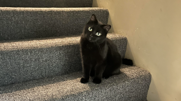 Donate to Wayne's PU Surgery campaign photo, 1 of 3