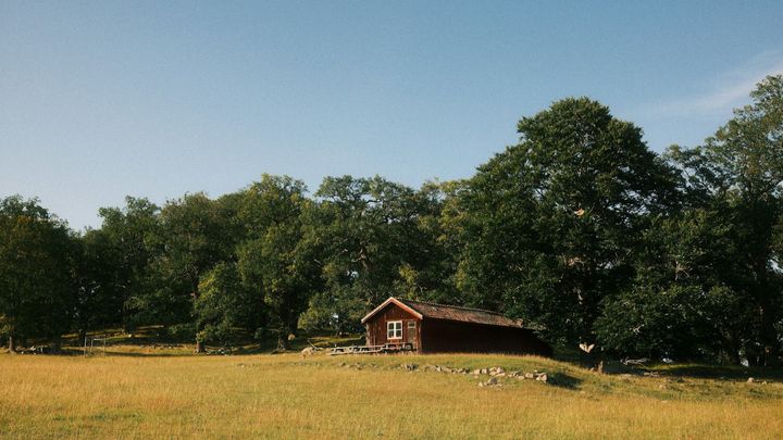 Help us start Noorderwoud, a small campsite in Sweden campaign photo, 1 of 3