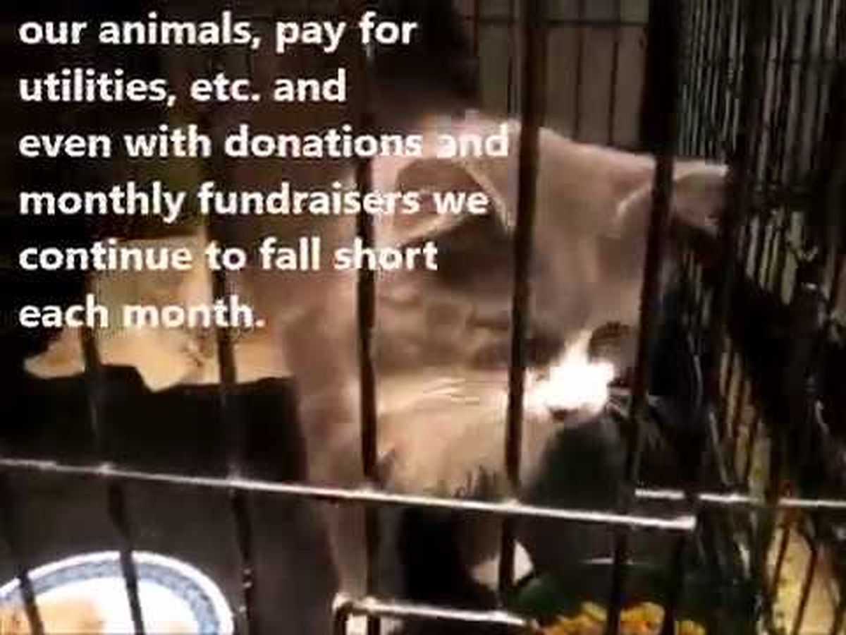Fundraiser’s main image