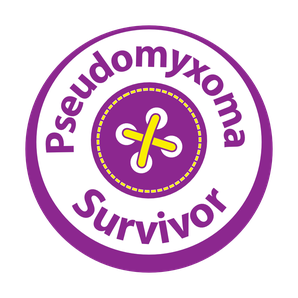 Pseudomyxomasurvivor