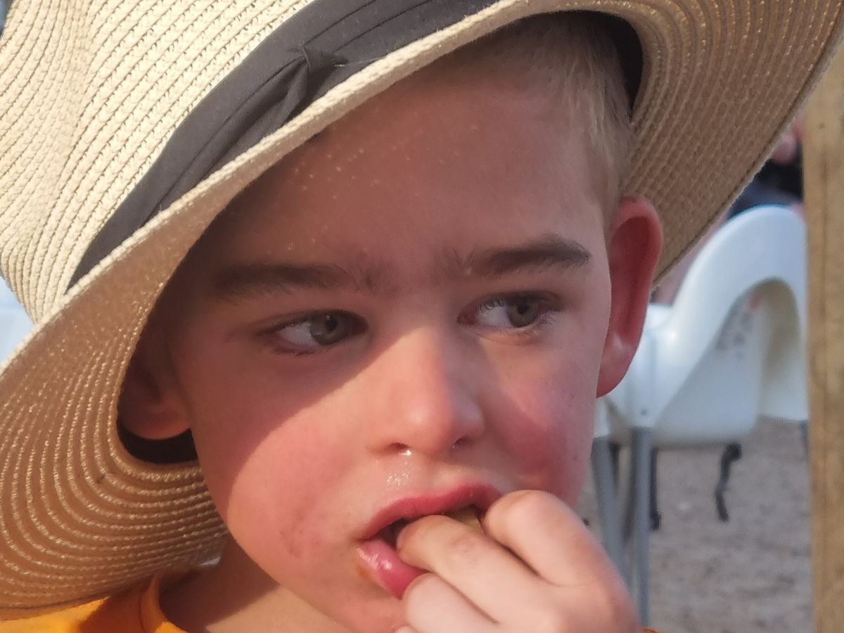 Fundraiser by Clare Temperton : Archie's Assistance Animal Army