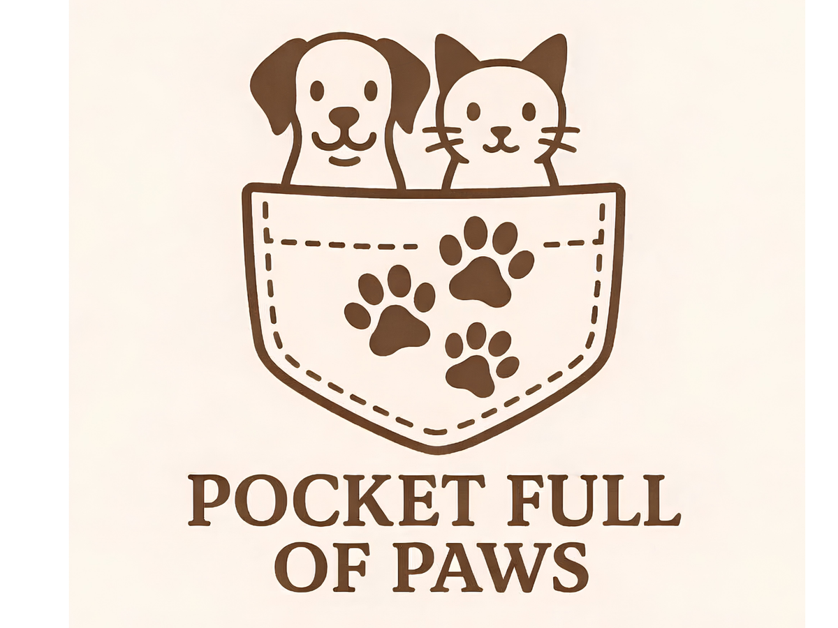 Fundraiser’s main image