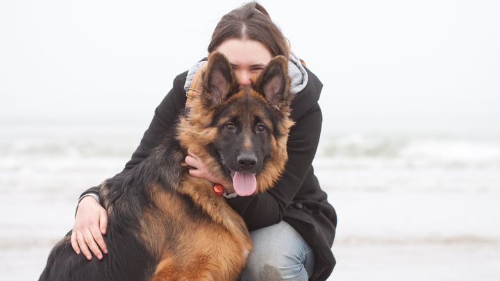 Samen op weg naar een nieuwe assistentiehond campaign photo, 1 of 8