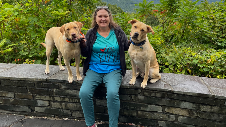 Image showcasing Untitled Image