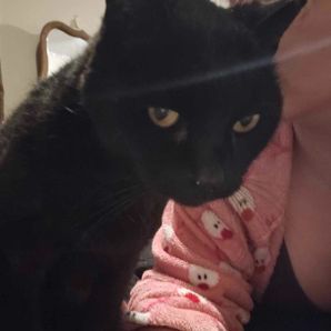 handsinthegarden twitch