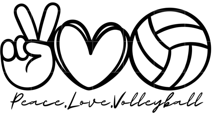 Donate to Zoey's Journey with 850 Volleyball campaign photo, 1 of 4