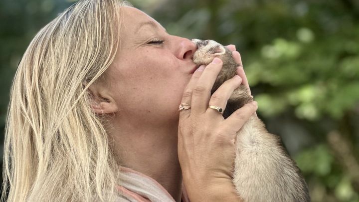 Help save Hilleroed Mini Zoo and 300 animals