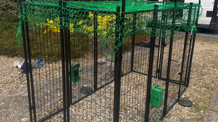 Fundraiser by Dave Rimmer : Purchase a Missy Trap For Lost Dogs