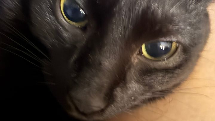 Help Freya Get Life-Saving Surgery campaign photo, 1 of 6