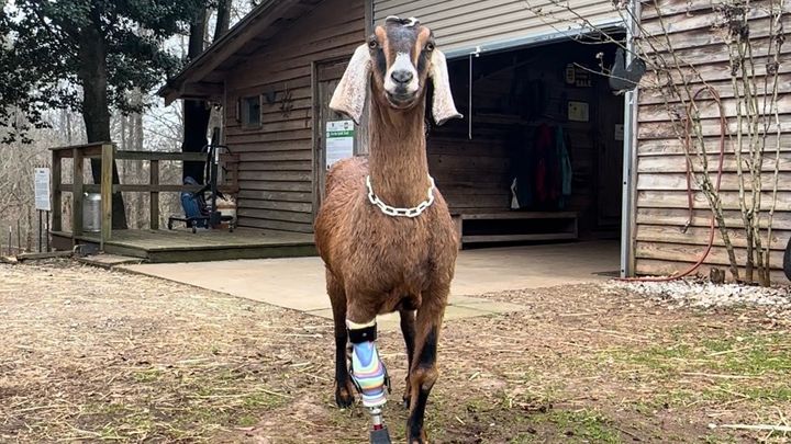 Main fundraiser photo